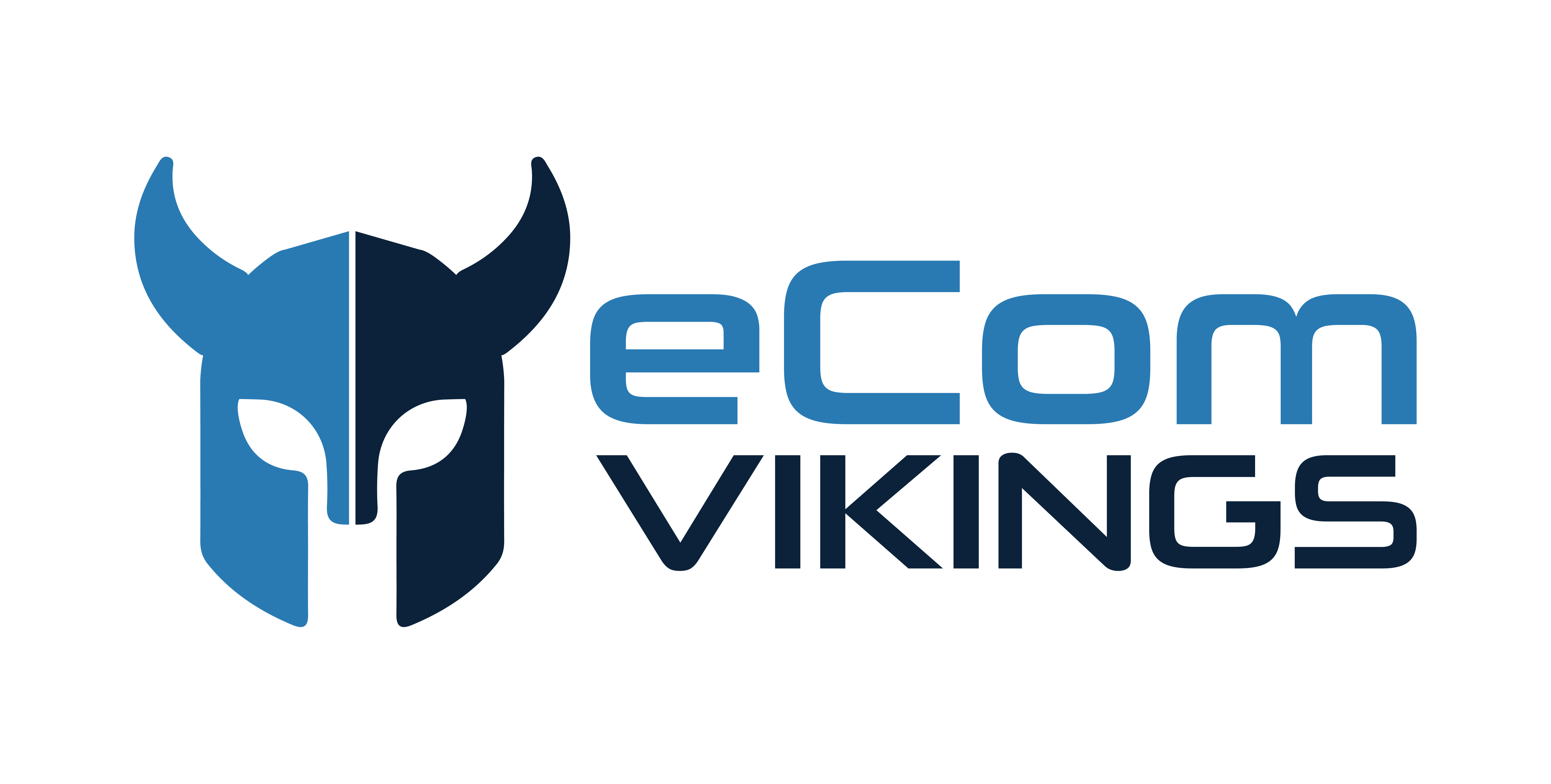 eCom VIKINGS